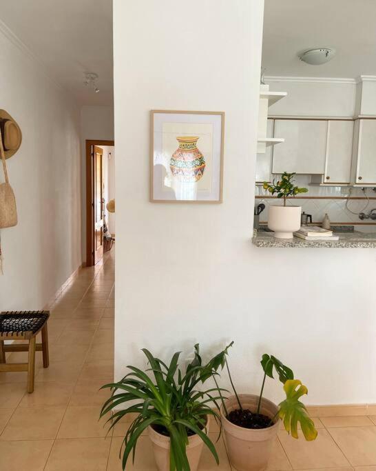 Apartamento Mediterraneo Entre Vinedos Jesus Pobre المظهر الخارجي الصورة